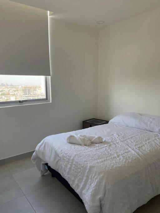 Ferienwohnung Estilo Y Comodidad En Monterrey Exterior foto